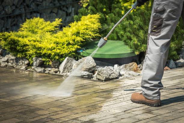 Best Warehouse Cleaning  in Centerville, CA