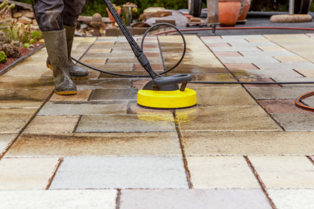 Best Animal Enclosure Cleaning  in Centerville, CA