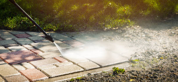 Animal Enclosure Cleaning in Centerville, CA